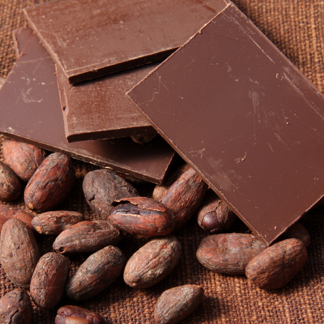 Chocolate and Beans square chocolate